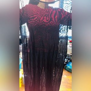 Sheer black dress with black bra